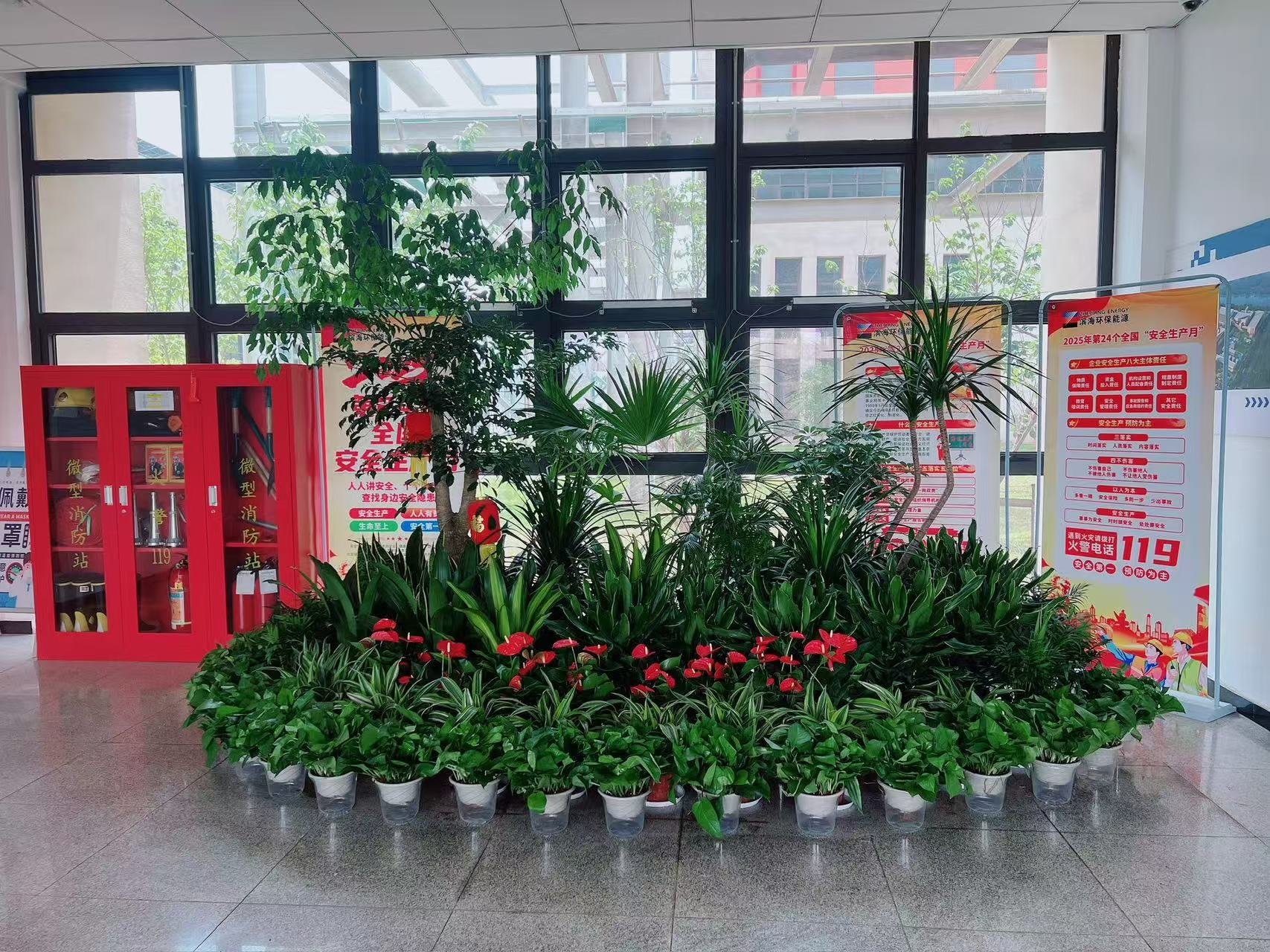 北仑盆景租赁价格实惠